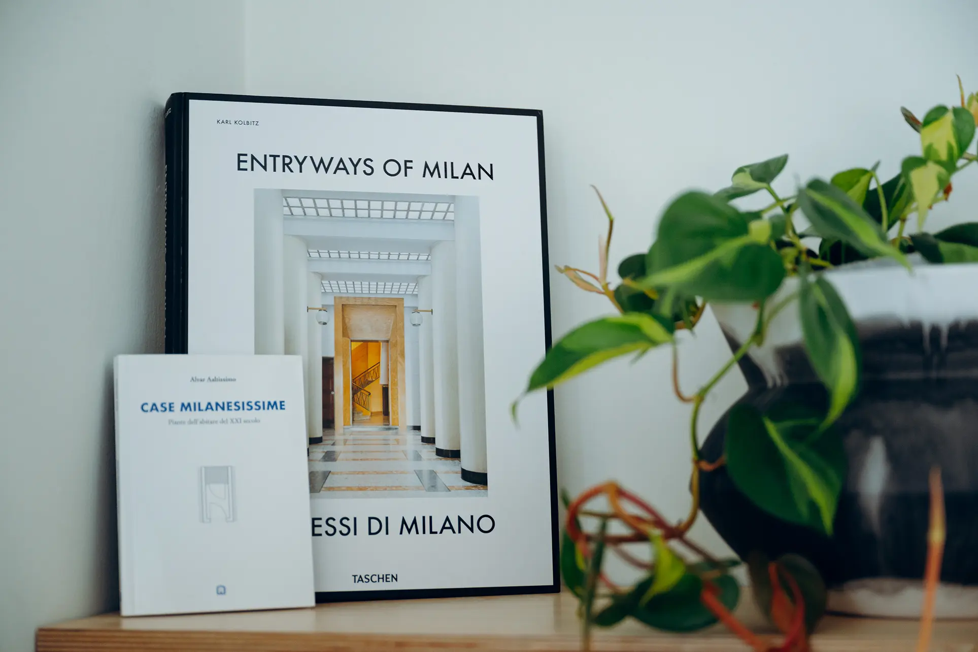 Livres de design architectural posés sur une étagère en bois, accompagnés d'une plante verte en pot décoratif - Design d’intérieur, Ambria Design